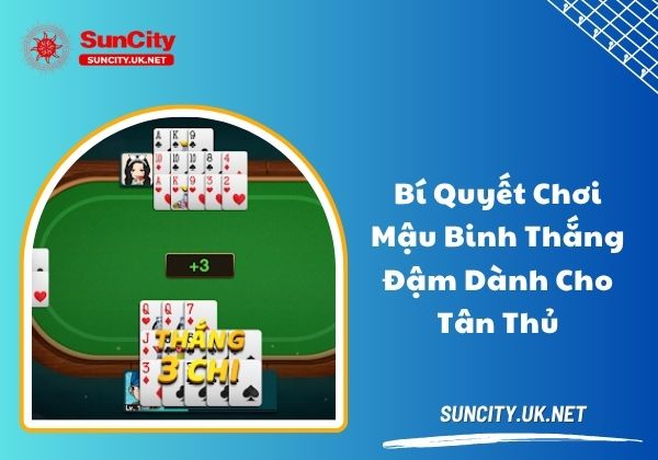 Bí quyết chơi Mậu Binh thắng đậm dành cho tân thủ Bí quyết chơi Mậu Binh thắng đậm dành cho tân thủ