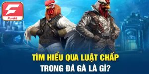 Luật Chấp Trong Đá Gà For88 Và Thông Tin Chi Tiết Nhất
