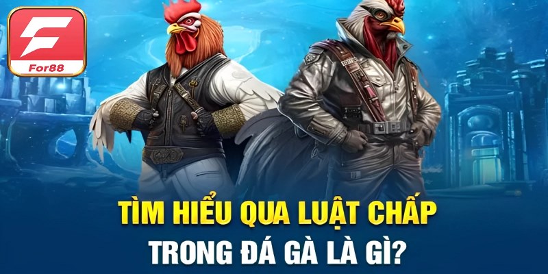 Luật Chấp Trong Đá Gà For88 Và Thông Tin Chi Tiết Nhất